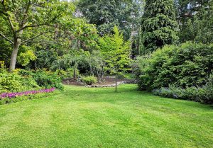 Optimiser l'expérience du jardin à La Neuville-Garnier